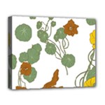 Nasturtium Flowers Plant Leaves Deluxe Canvas 20  x 16  (Stretched)