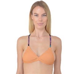 Reversible Tri Bikini Top 