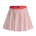 4 farben  Mini Flare Skirt