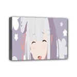 Emilia Rezero Mini Canvas 7  x 5  (Stretched)