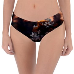 Reversible Classic Bikini Bottoms 