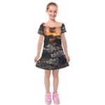 White Flower Kids  Short Sleeve Velvet Dress