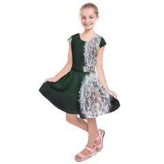 Kids  Short Sleeve Dress 