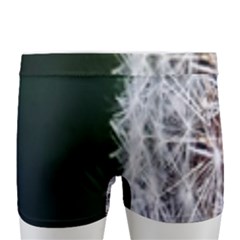 Men s Boxer Briefs 