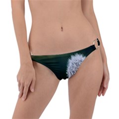 Ring Detail Bikini Bottoms 