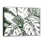 Abstract Art Tropical Leaves Canvas 16  x 12  (Stretched)