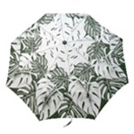 Abstract Art Tropical Leaves Folding Umbrellas