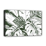 Abstract Art Tropical Leaves Deluxe Canvas 18  x 12  (Stretched)