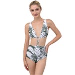 Abstract Art Tropical Leaves Tied Up Two Piece Swimsuit