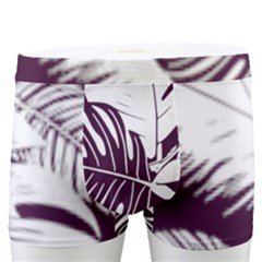 Men s Boxer Briefs 