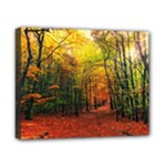 Forest Woods Autumn Nature Canvas 10  x 8  (Stretched)