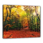 Forest Woods Autumn Nature Canvas 24  x 20  (Stretched)