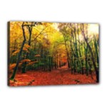 Forest Woods Autumn Nature Canvas 18  x 12  (Stretched)