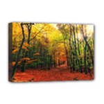 Forest Woods Autumn Nature Deluxe Canvas 18  x 12  (Stretched)