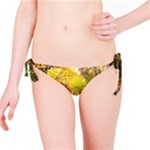 Forest Woods Autumn Nature Bikini Bottoms