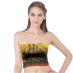 Forest Woods Autumn Nature Tube Top