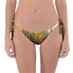 Forest Woods Autumn Nature Reversible Bikini Bottoms