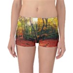 Forest Woods Autumn Nature Reversible Boyleg Bikini Bottoms