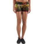 Forest Woods Autumn Nature Yoga Shorts