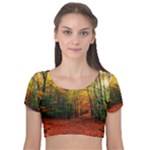 Forest Woods Autumn Nature Velvet Short Sleeve Crop Top 