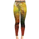 Forest Woods Autumn Nature Inside Out Leggings