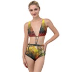 Forest Woods Autumn Nature Tied Up Two Piece Swimsuit