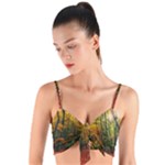 Forest Woods Autumn Nature Woven Tie Front Bralet