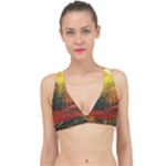 Forest Woods Autumn Nature Classic Banded Bikini Top