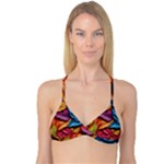 Autumn Reversible Tri Bikini Top