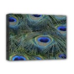 Peacock Feathers Details Deluxe Canvas 16  x 12  (Stretched) 