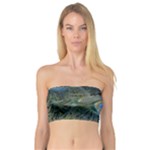 Peacock Feathers Details Bandeau Top