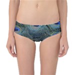 Peacock Feathers Details Classic Bikini Bottoms