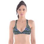 Peacock Feathers Details Plunge Bikini Top