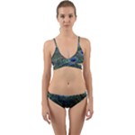 Peacock Feathers Details Wrap Around Bikini Set