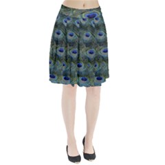 Peacock Feathers Details Pleated Skirt from ArtsNow.com