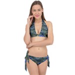 Peacock Feathers Details Tie It Up Bikini Set