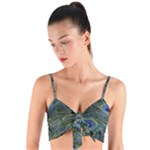 Peacock Feathers Details Woven Tie Front Bralet