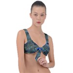 Peacock Feathers Details Front Tie Bikini Top