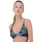 Peacock Feathers Details Knot Up Bikini Top