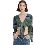 Peacock Feathers Details Trumpet Sleeve Cropped Top