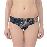 Dragon Snake Legend Japanese Mythology Hipster Bikini Bottoms