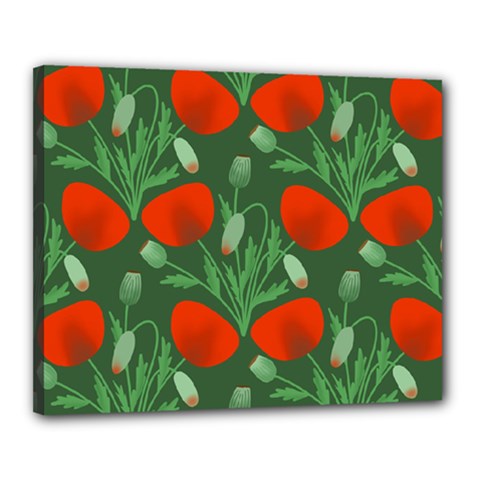 Poppy Fierce Wolf Poppies Bud Canvas 20  x 16  (Stretched) from ArtsNow.com