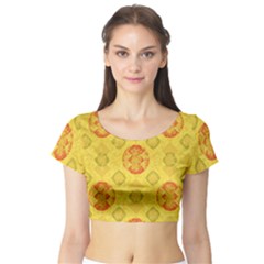 Short Sleeve Crop Top 