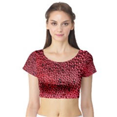 Short Sleeve Crop Top 