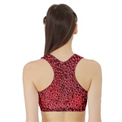 Sports Bra with Border 