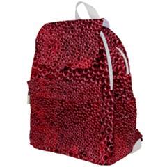 Top Flap Backpack 