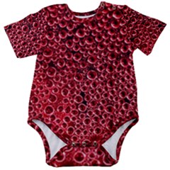 Baby Short Sleeve Bodysuit 