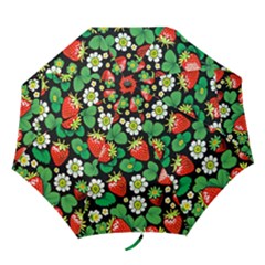 Folding Umbrella 