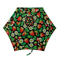 Mini Folding Umbrella 