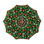 Strawberries Pattern Automatic Folding Umbrella with Case (Large)